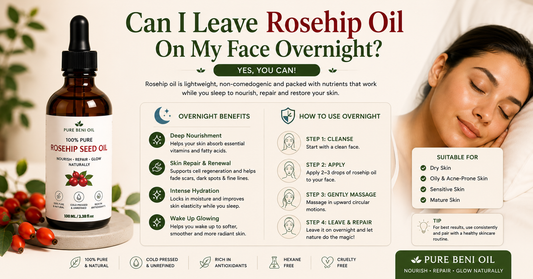 Can I leave rosehip oil on my face overnight infographic showing the benefits of overnight rosehip oil application with Pure Beni Rosehip Oil for hydration skin repair and radiant skin
