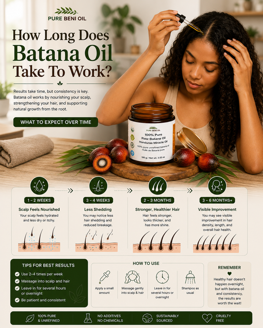 Infographic showing how long Batana Oil takes to work, featuring a woman applying Pure Beni Batana Oil and a timeline illustrating scalp hydration, reduced shedding, stronger-looking hair, and visible hair improvements with consistent use over time.