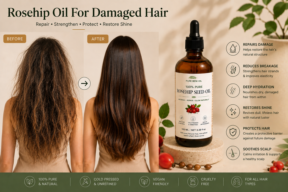 Pure Beni Rosehip Oil before and after infographic for damaged hair, highlighting hair repair, reduced breakage, deep hydration, restored shine and stronger healthier hair naturally.