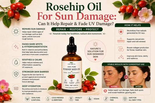 Pure Beni Rosehip Oil infographic for sun damage repair, highlighting support for fading dark spots, improving skin tone, restoring hydration, strengthening the skin barrier and promoting a brighter complexion.